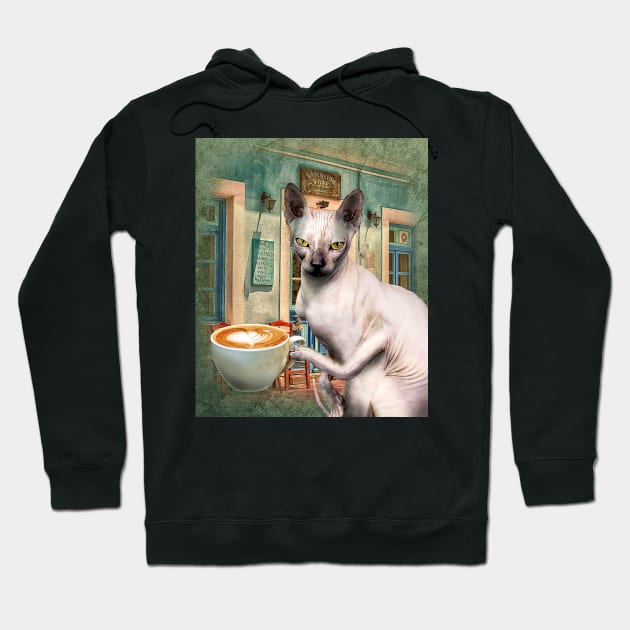 Sphynx Hairless Cat With Coffee Hoodie by Random Galaxy